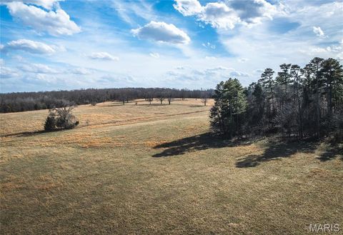 Tiny photo for 6246 W Highway 32, Salem, MO 65560 (MLS # 25080603)