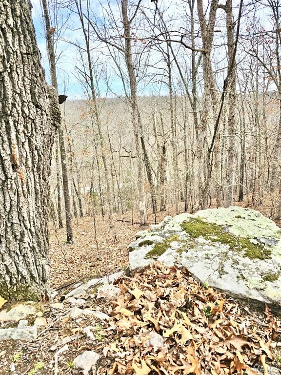 685- South East Missouri - Residential