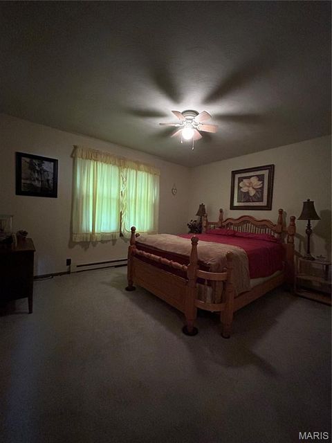 Tiny photo for De Soto, MO 63020 (MLS # 26030607)