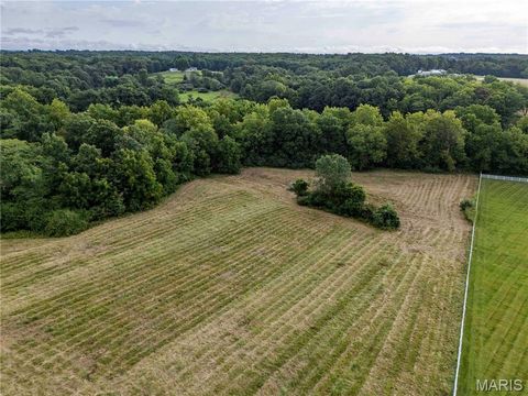 Tiny photo for 60 Spring House Lane, Troy, MO 63379 (MLS # 26047004)