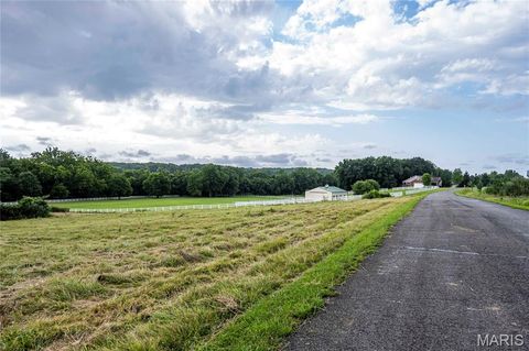 Tiny photo for 60 Spring House Lane, Troy, MO 63379 (MLS # 26047004)
