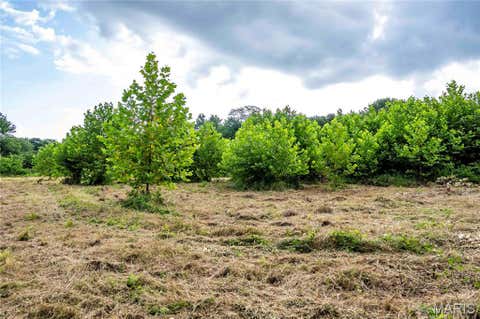 Tiny photo for 60 Spring House Lane, Troy, MO 63379 (MLS # 26047004)
