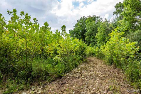 Tiny photo for 60 Spring House Lane, Troy, MO 63379 (MLS # 26047004)