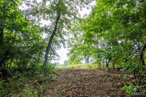Tiny photo for 60 Spring House Lane, Troy, MO 63379 (MLS # 26047004)