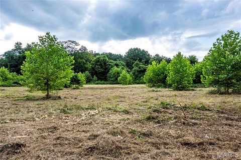Tiny photo for 60 Spring House Lane, Troy, MO 63379 (MLS # 26047004)