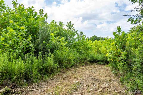 Tiny photo for 60 Spring House Lane, Troy, MO 63379 (MLS # 26047004)