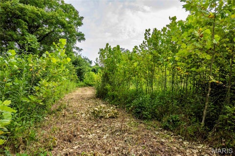 Tiny photo for 60 Spring House Lane, Troy, MO 63379 (MLS # 26047004)