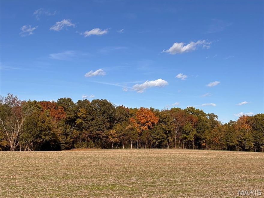 4 ACRES JUST OFF OF HWY AA AND RANCH ROAD!!! Flat, level & open acreage backing to woods, perfect for your new custom home site. Located just 4 miles from 70 from either the Wright City or Warrenton exit.  Ranch Road to be paved. Some restrictions will apply, including no shouses, barndominiums, mobile homes or commercial businesses.  Agent Owned