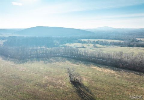 Tiny photo for 0000 Wayne County Road 324, Patterson, MO 63956 (MLS # 26025036)