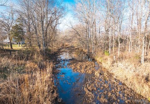 Tiny photo for 0000 Wayne County Road 324, Patterson, MO 63956 (MLS # 26025036)