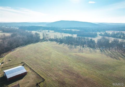Tiny photo for 0000 Wayne County Road 324, Patterson, MO 63956 (MLS # 26025036)