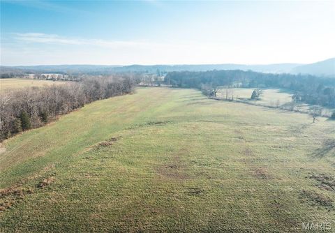 Tiny photo for 0000 Wayne County Road 324, Patterson, MO 63956 (MLS # 26025036)