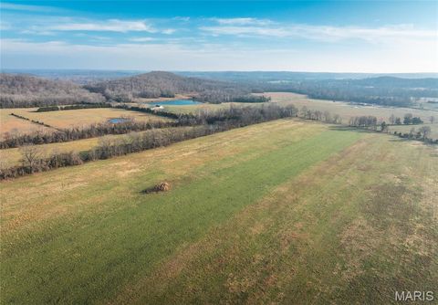 Tiny photo for 0000 Wayne County Road 324, Patterson, MO 63956 (MLS # 26025036)