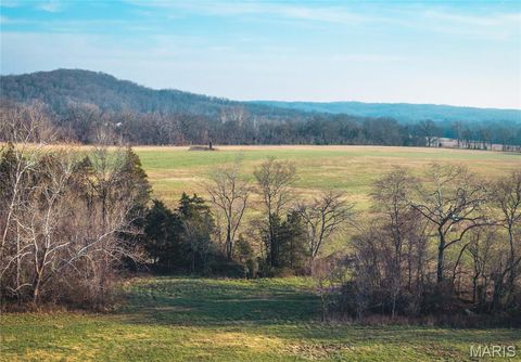 Tiny photo for 0000 Wayne County Road 324, Patterson, MO 63956 (MLS # 26025036)
