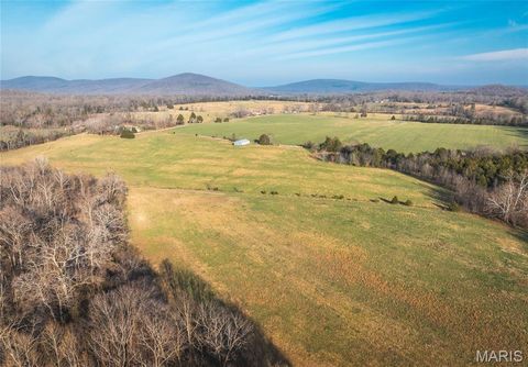Tiny photo for 0000 Wayne County Road 324, Patterson, MO 63956 (MLS # 26025036)