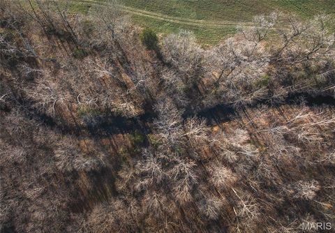 Tiny photo for 0000 Wayne County Road 324, Patterson, MO 63956 (MLS # 26025036)