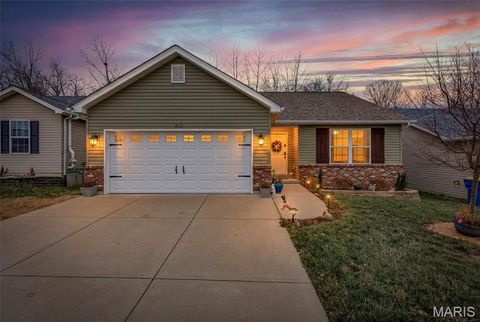 313 Andy Habsieger Street Festus MO 63028