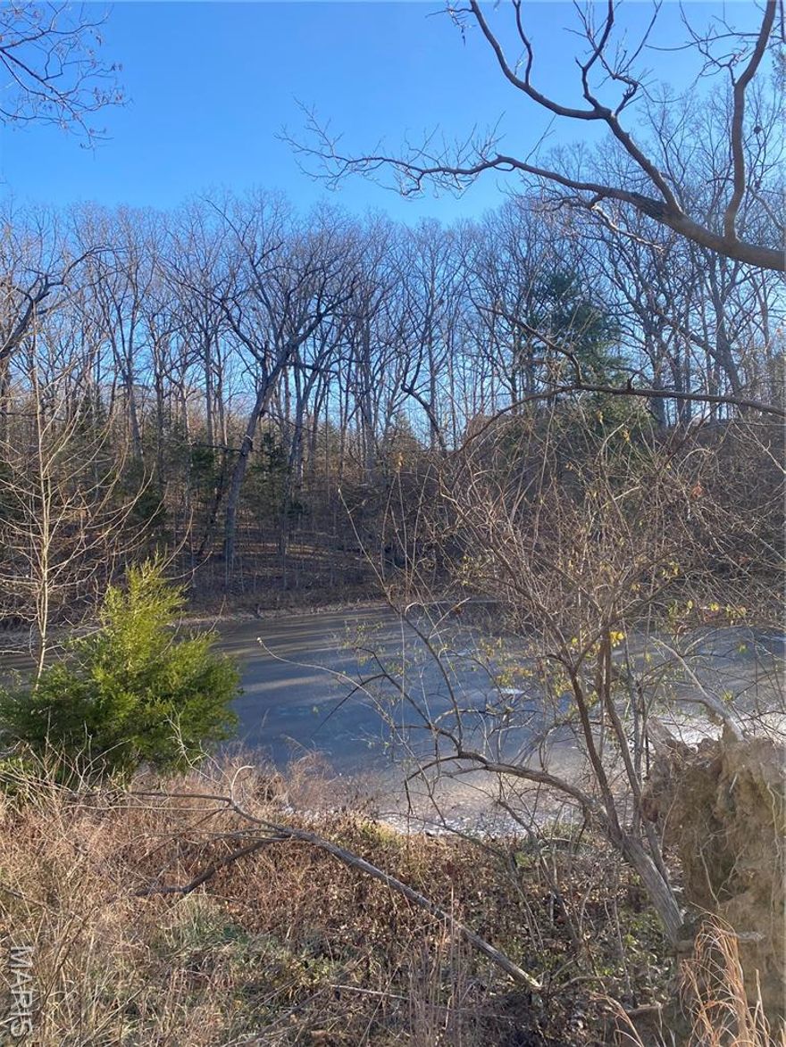 SURROUNDED BY TREES AND UPSCALE HOMES, THIS 27.5 ACRE PROPERTY IN WILDWOOD IS VERSATILE AND PRIVATE. PERFECT FOR LARGE ESTATE, SUBDIVIDING OR RECREATION.  FRONTS TO MANCHESTER ROAD.  CALL FOR MORE DETAILS