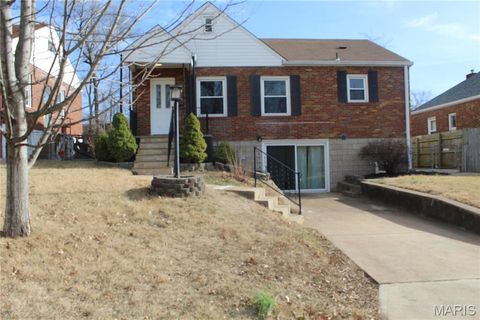 Photo of 116 Lemay Gardens Drive, St Louis, MO 63125 (MLS # 25082482)