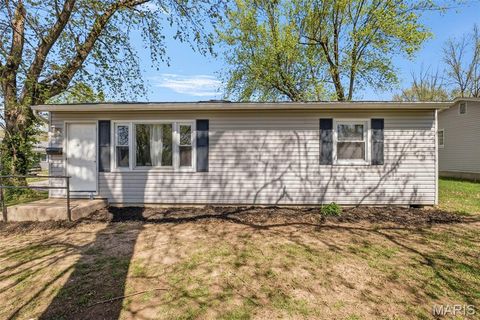 Tiny photo for 121 E Pershing Street, Troy, MO 63379 (MLS # 26019881)