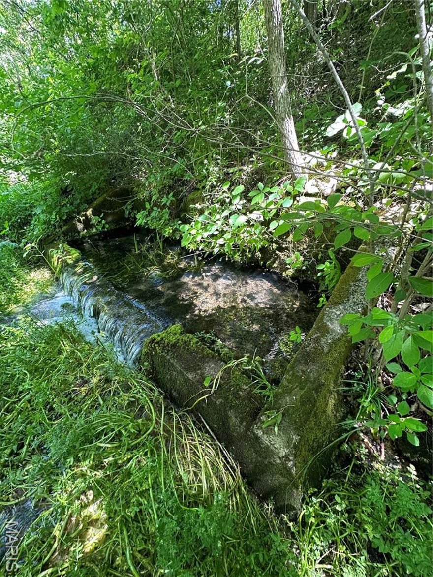 This beautiful property is located just west of Ellsinore and accessed through a clean, deeded and recorded easement off of Carter 224. Large tracts of this size are becoming rarer everyday, so do not miss your chance to call this one your own. This property consists of multiple springs and wildlife ponds, which provide a great water source to the abundant amount of wildlife in the area. The several food plot locations attract wildlife, but would also serve as ideal building spots for your future dream home or weekend getaway. Current River is nearby providing amazing fishing, floating, and boating opportunities. Thousands of acres of Mark Twain National Forest and Missouri Conservation ground are also in the area, making the hunting opportunity endless. If you're looking for big acreage that is ready to hunt, with limitless possibilities, then this is a must-see! Call today to schedule your own private tour.