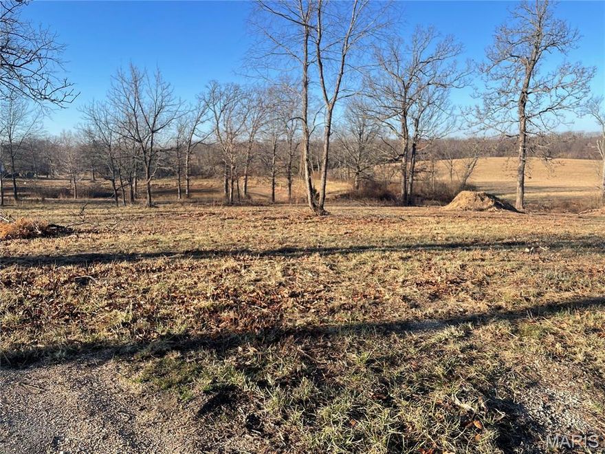 Nice, large lot to build your dream home.  City water, city sewer and city electric available.  Salem R80 School District.  Minimal deed restrictions.