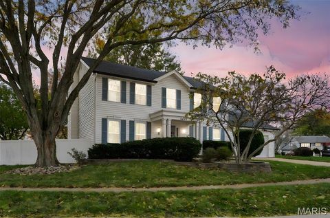 2507 Indiancup Drive Florissant MO 63033