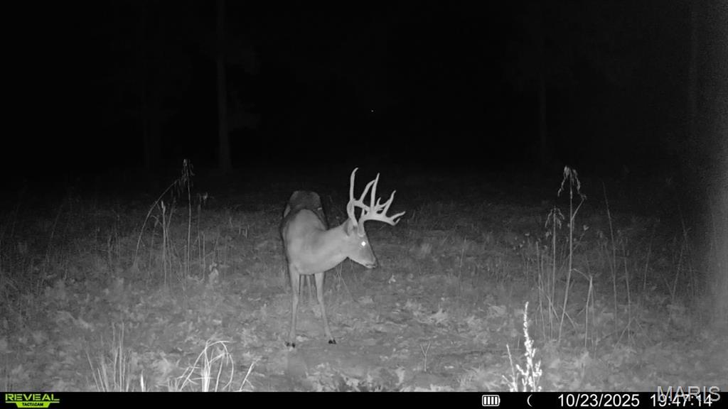 Kingston Lake Estates - Land