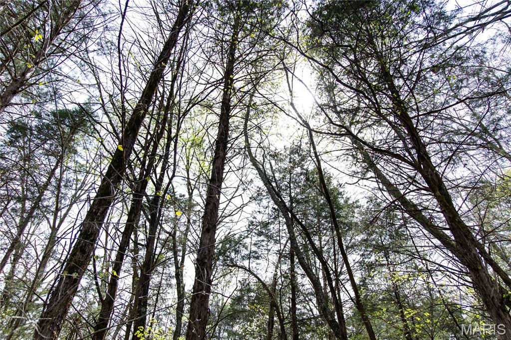 Kingston Lake Estates - Land