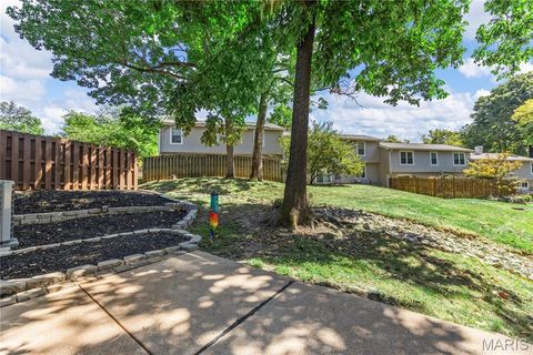 Tiny photo for 13314 Wood Chapel Drive, Chesterfield, MO 63141 (MLS # 25068955)