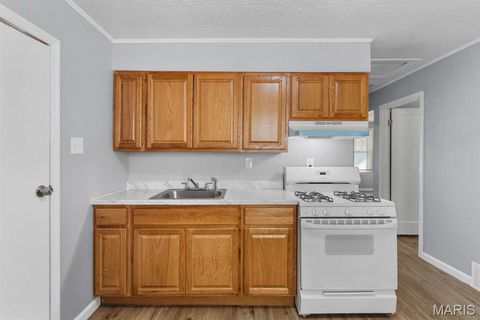 Tiny photo for 6640 Torlina Drive, Berkeley, MO 63134 (MLS # 26017880)