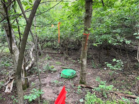 Tiny photo for 16815 Manchester Road, Wildwood, MO 63040 (MLS # 26016061)
