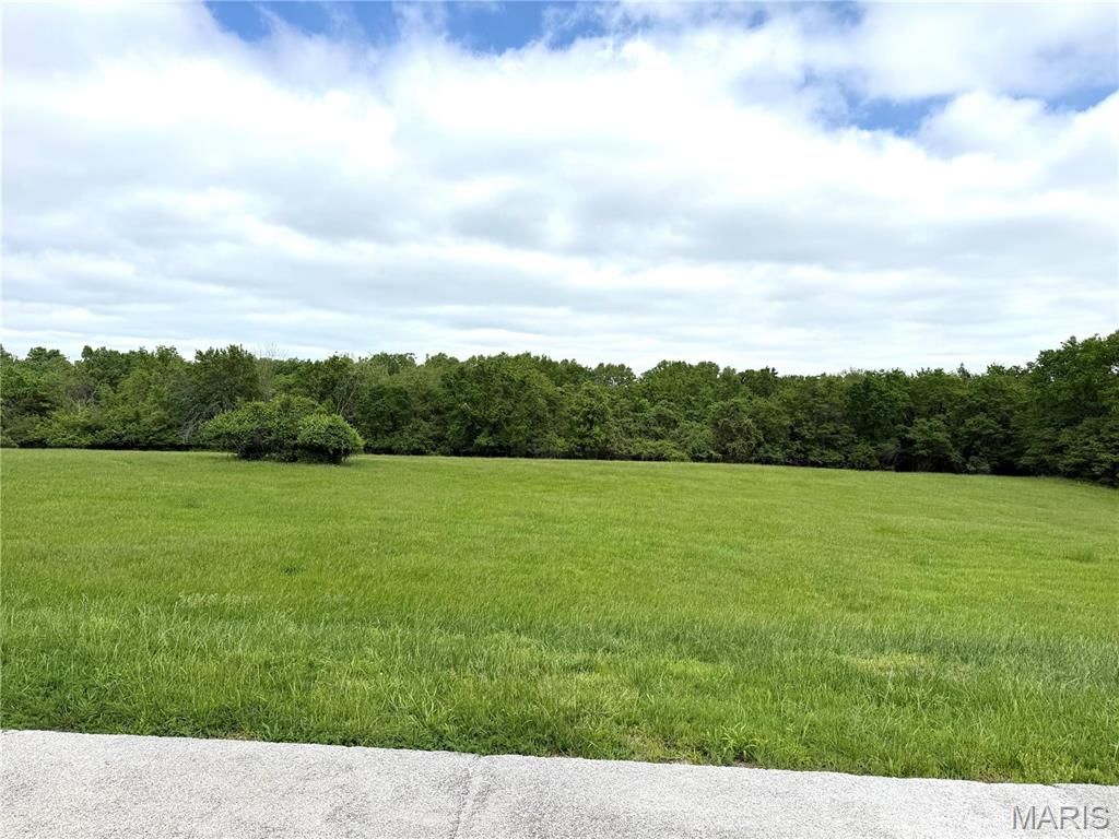 Photo of 16815 Manchester Road, Wildwood, MO 63040 (MLS # 26016061)