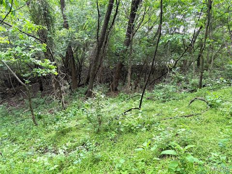 Tiny photo for 16815 Manchester Road, Wildwood, MO 63040 (MLS # 26016061)