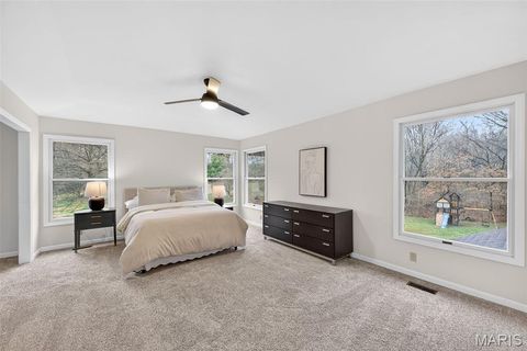 Tiny photo for 16839 Kehrsbrooke Court, Chesterfield, MO 63005 (MLS # 26010066)