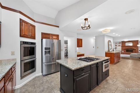 Tiny photo for 16839 Kehrsbrooke Court, Chesterfield, MO 63005 (MLS # 26010066)