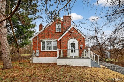 Photo of 2432 Mary Avenue, St Louis, MO 63136 (MLS # 26012737)