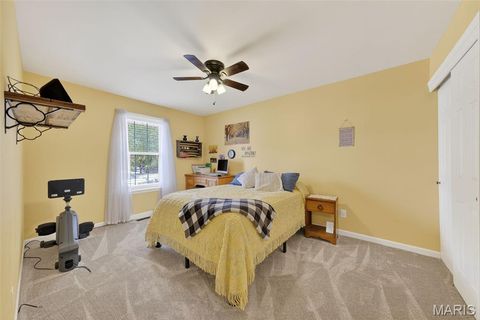 Tiny photo for 94 Darla Drive, Winfield, MO 63389 (MLS # 25062900)