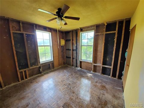 Tiny photo for 2164 Wayne 220 b, Silva, MO 63964 (MLS # 26020845)