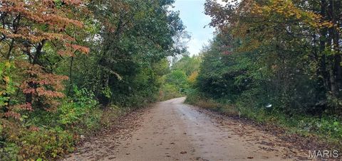 Tiny photo for 2164 Wayne 220 b, Silva, MO 63964 (MLS # 26020845)