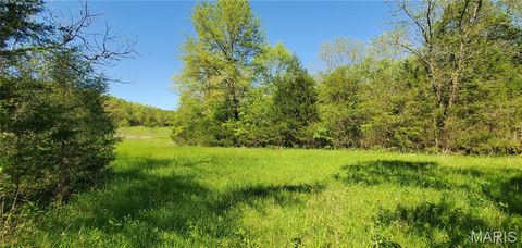 Tiny photo for 2164 Wayne 220 b, Silva, MO 63964 (MLS # 26020845)