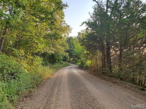 Tiny photo for 2164 Wayne 220 b, Silva, MO 63964 (MLS # 26020845)