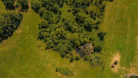 Tiny photo for 2164 Wayne 220 b, Silva, MO 63964 (MLS # 26020845)