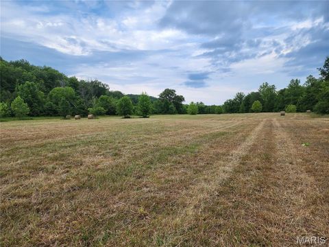 Tiny photo for 2164 Wayne 220 b, Silva, MO 63964 (MLS # 26020845)