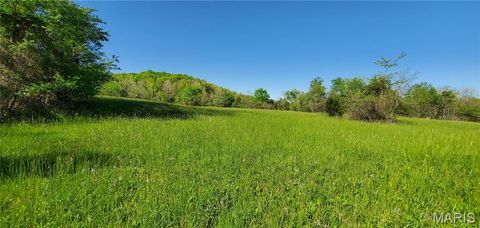 Tiny photo for 2164 Wayne 220 b, Silva, MO 63964 (MLS # 26020845)