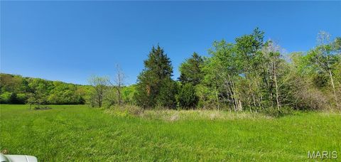 Tiny photo for 2164 Wayne 220 b, Silva, MO 63964 (MLS # 26020845)