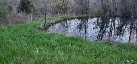 Tiny photo for 2164 Wayne 220 b, Silva, MO 63964 (MLS # 26020845)
