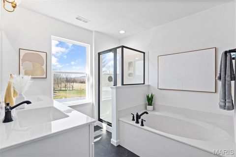 Tiny photo for 2 Sterling at Wilmer Valley, Wentzville, MO 63385 (MLS # 26011403)