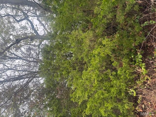 Campbellton Farm - Land