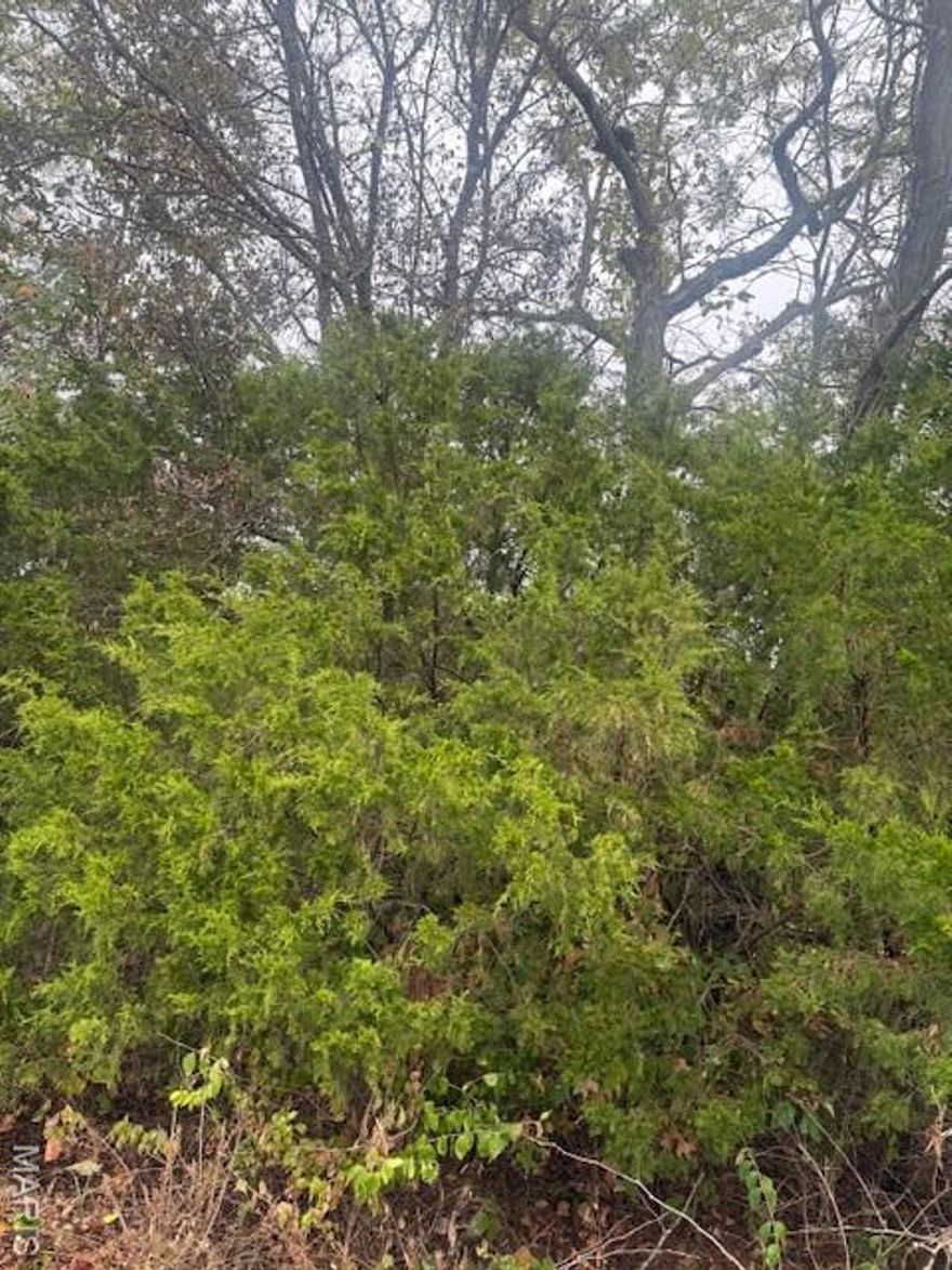 Lovely Country Setting with lots of possibilities for your new home. Mostly wooded 5.2 acre lot in Campbellton Farm Subdivision next to the Campbellton Elementary School.  
 A portion of the lot is on the South So of Tulley Rd  See plat from county